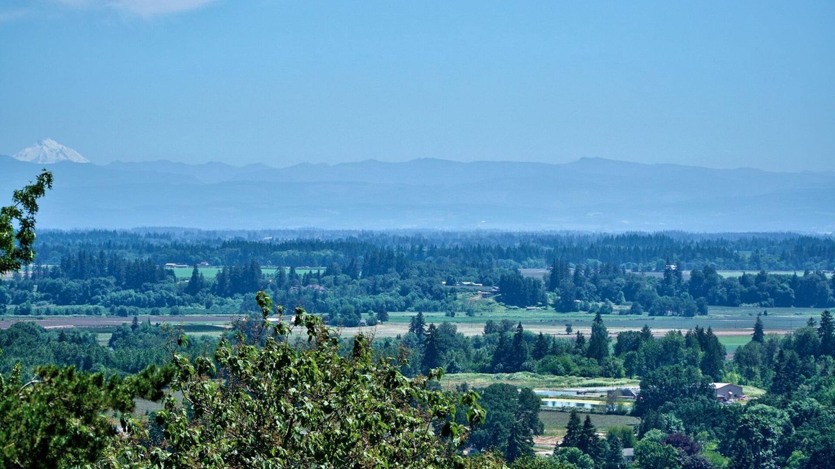 Dundee House | Red Hills Vacation ~ Three Bedroom Guest Suite with a Private Hot Tub and Sauna