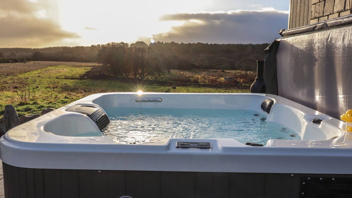 Dornoch Cottage | Red Squirrel