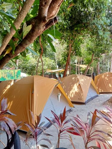 Redang Island Other | Redang Campstay