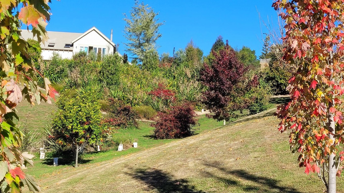 Redwood Valley Apartment | Redwood Lodge rural retreat with superb views