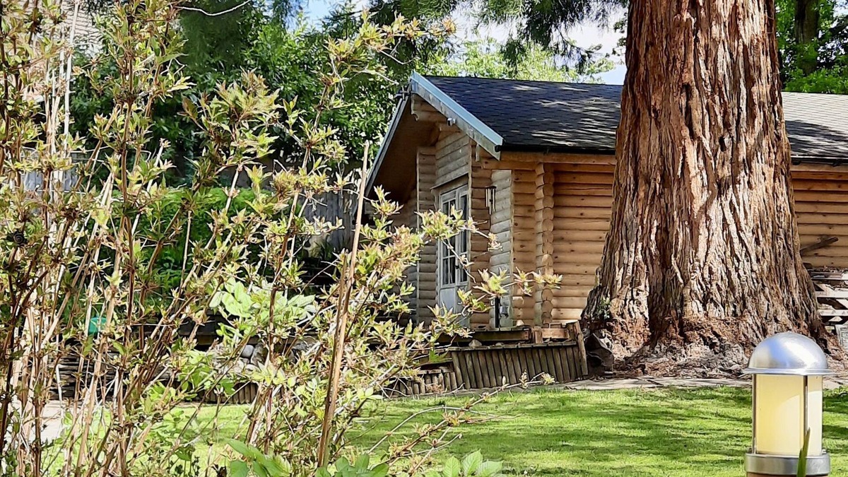 Sandhurst Cabin | Redwood Lodge: unwind in your very own log cabin