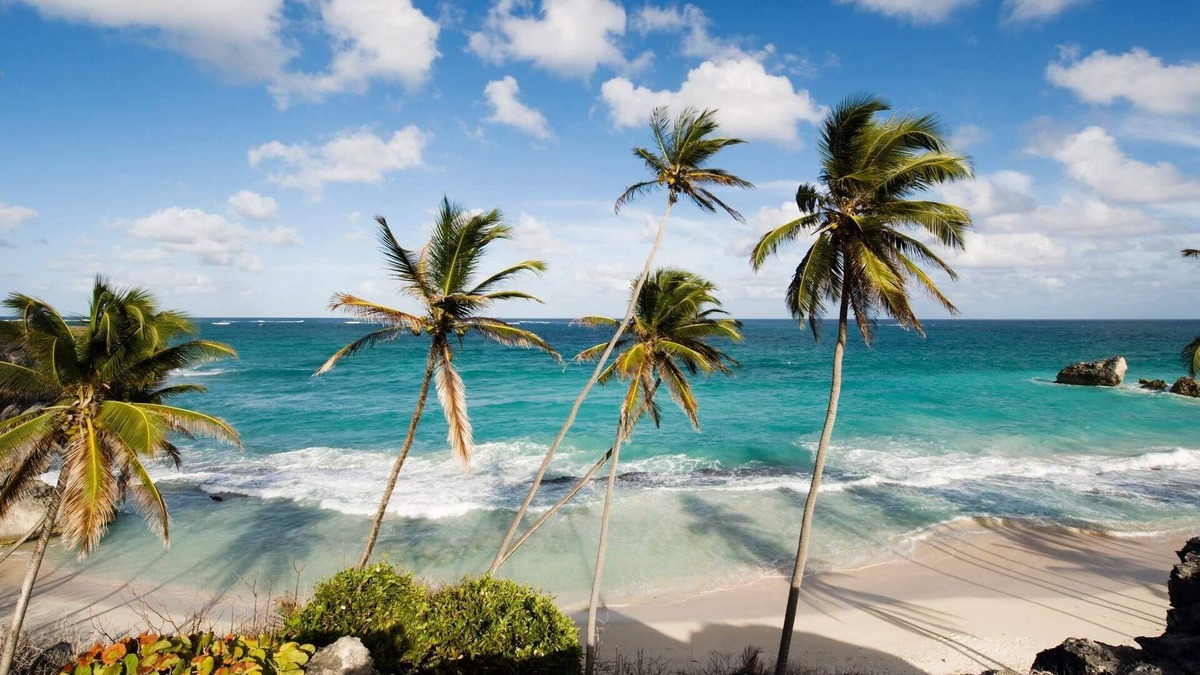 Reeds Bay Apartment | Reeds House 12 2BR in St. James by Personal Villas - Beachfront Haven