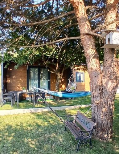 Marco de Canaveses Ski Chalet | Refúgio Da Pinheira