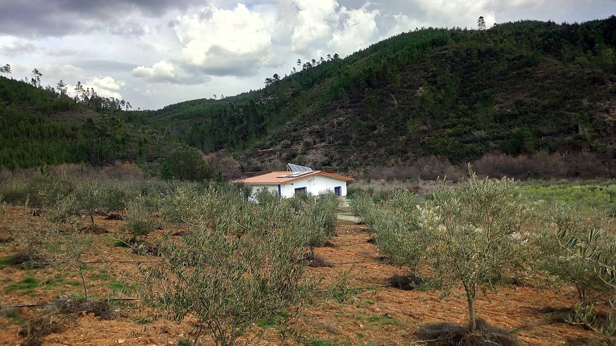 Montes da Senhora House | REFUGE OF RAPOSO / CASA DA RIBEIRA (AGROTURISMO)