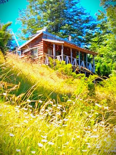 Curacautin Ski Chalet | Refugio de Montaña Kultrun Mawida, Cabaña Mirador WIFI