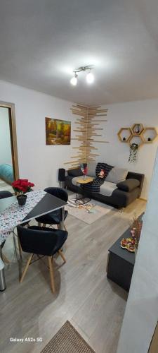 Borsec Apartment | Refugiu Alpin Borsec