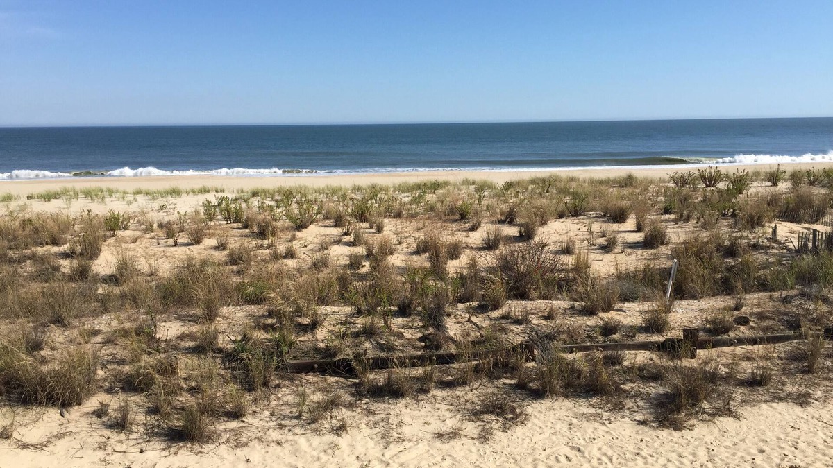 Rehoboth by the Sea House | Rehoboth by the Sea Oceanfront Paradise!