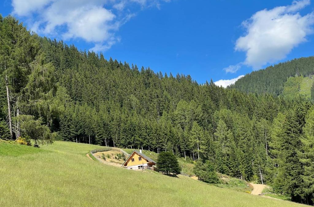 Polstal Ski Chalet | Reiterbauer Chalet