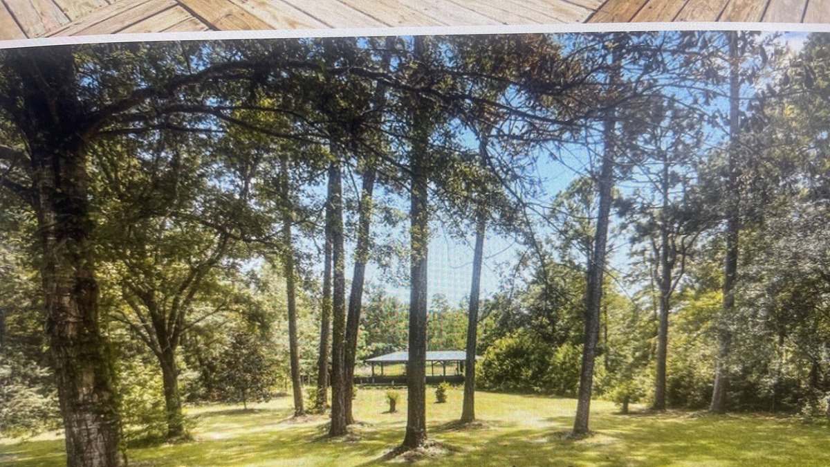 Gautier House | Relax and Enjoy this home on the Bayou