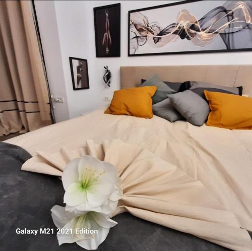 Jibert Apartment | RELAX ap TIMISOARA