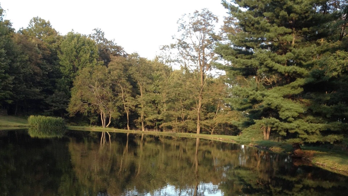 Brackney Other | Relax at this Tranquil Waterfront Home