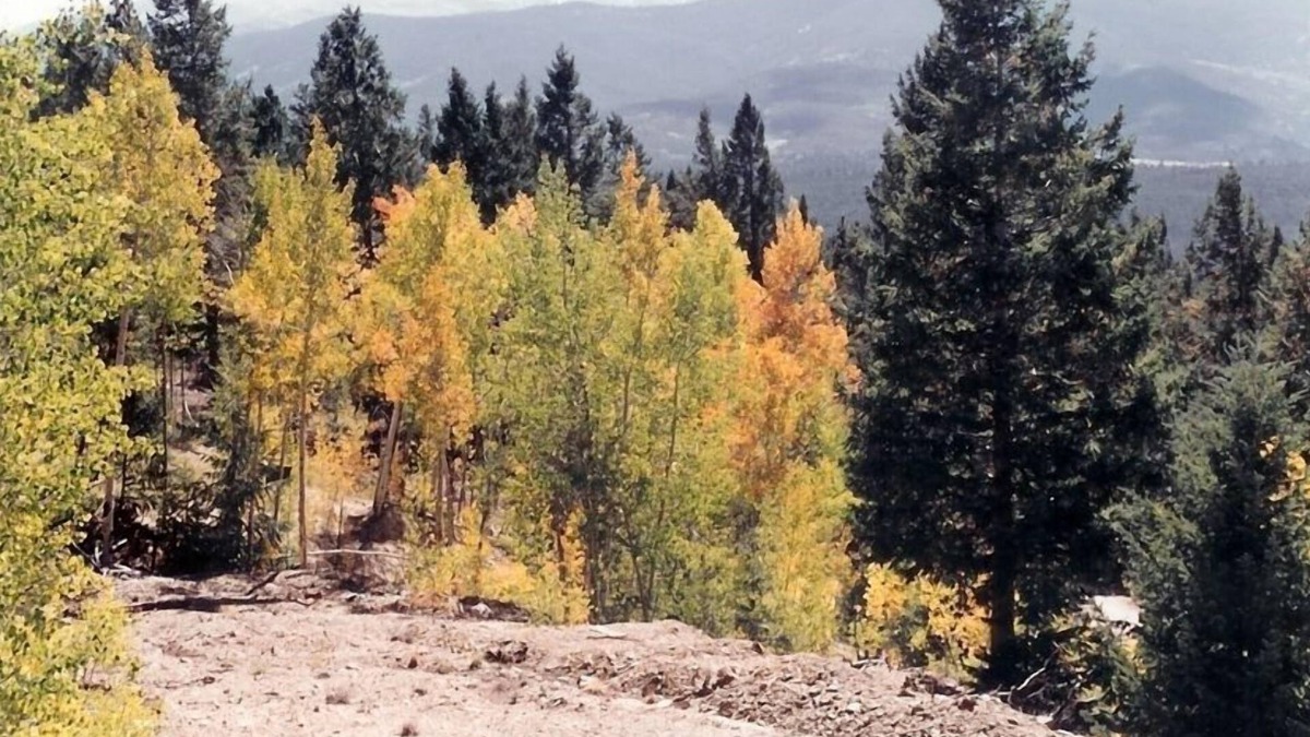 Salida House | Relax & Enjoy the Grandeur of the Colorado Rocky Mountains!