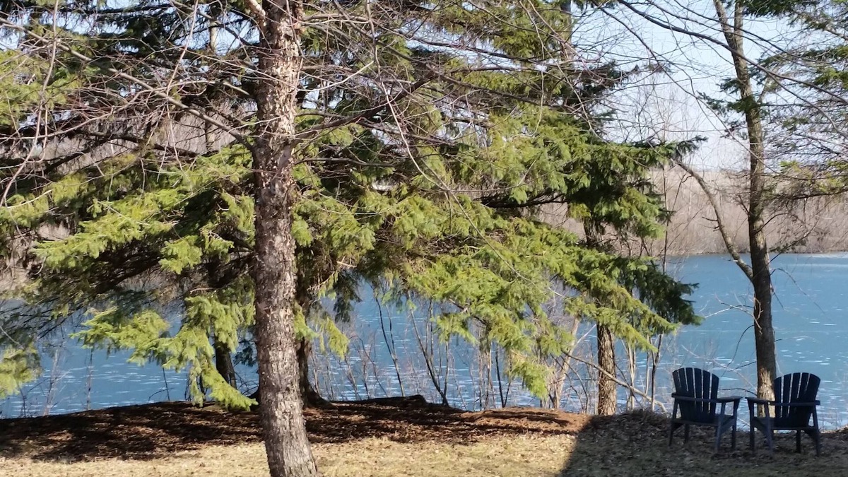 Charles City House | Relax in a North Central Iowa Paradise