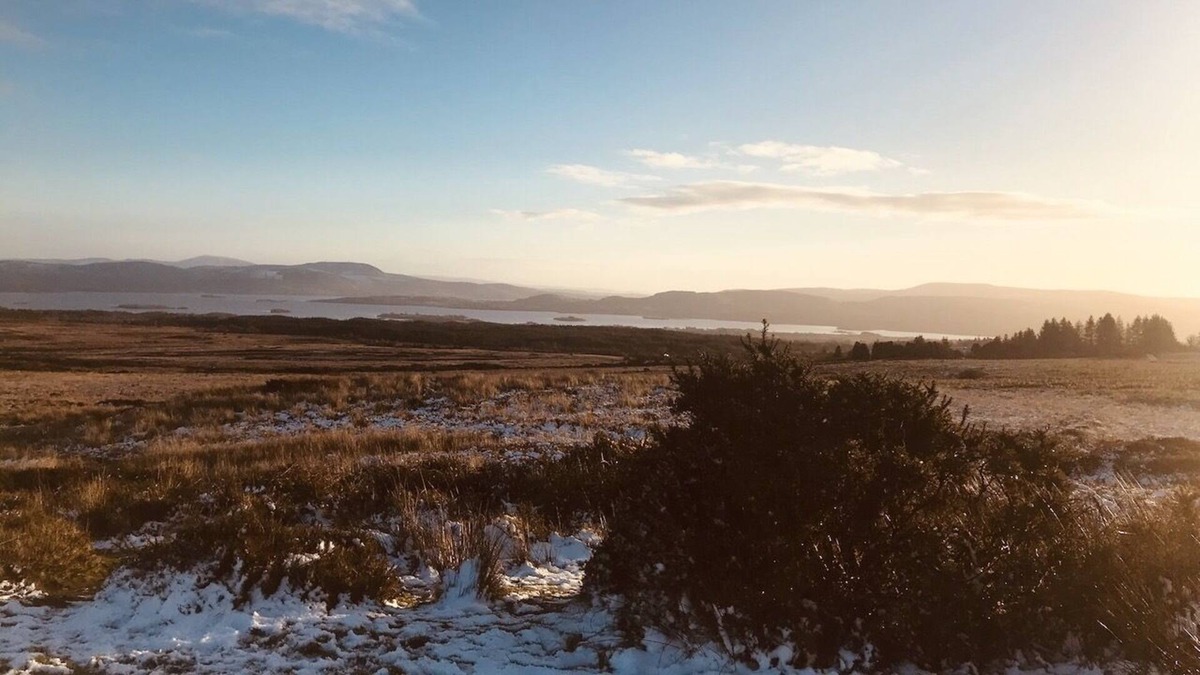Mountshannon Cabin | Relax in a Unique and Cosy Off-grid Eco Sherpherd's hut Between Heaven and Earth