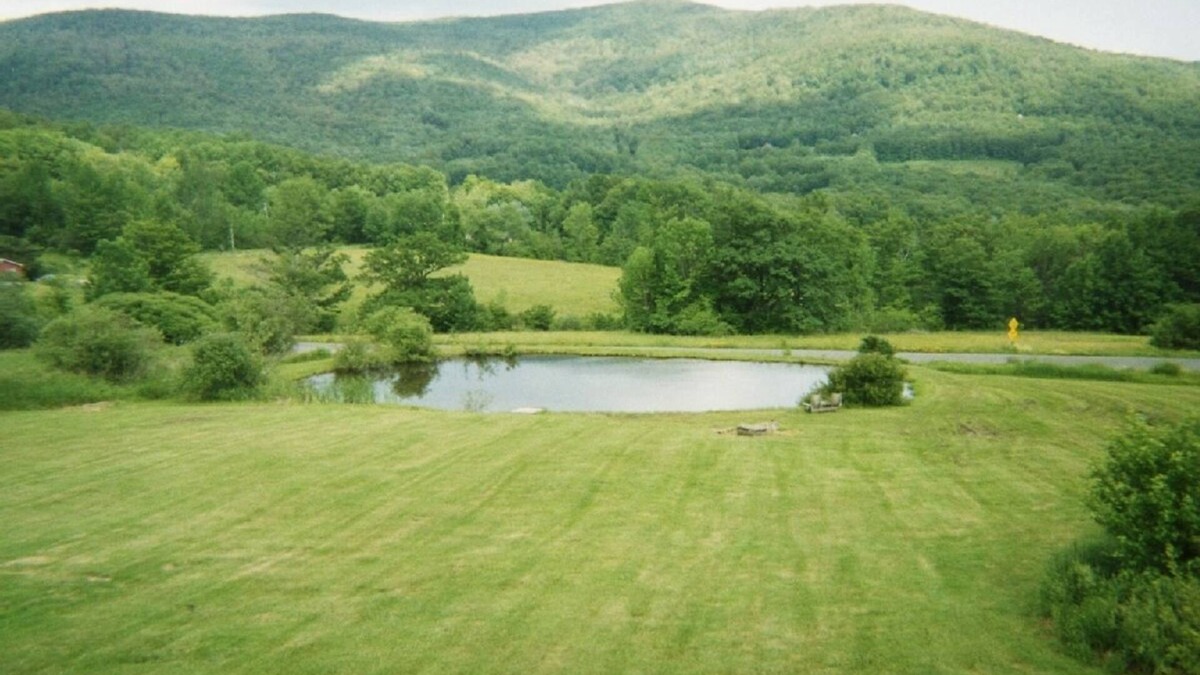 Denver House | Relax in Hot Tub Under Catskill Stars