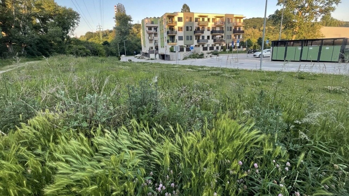 Dubravka Apartment | Relax in Nature, Close to Old Town, King Size Bed, Free Parking, Pet-Friendly
