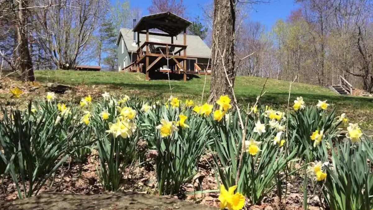 Fleischmanns Cabin | Relax in peaceful, private, secluded woods and mountains