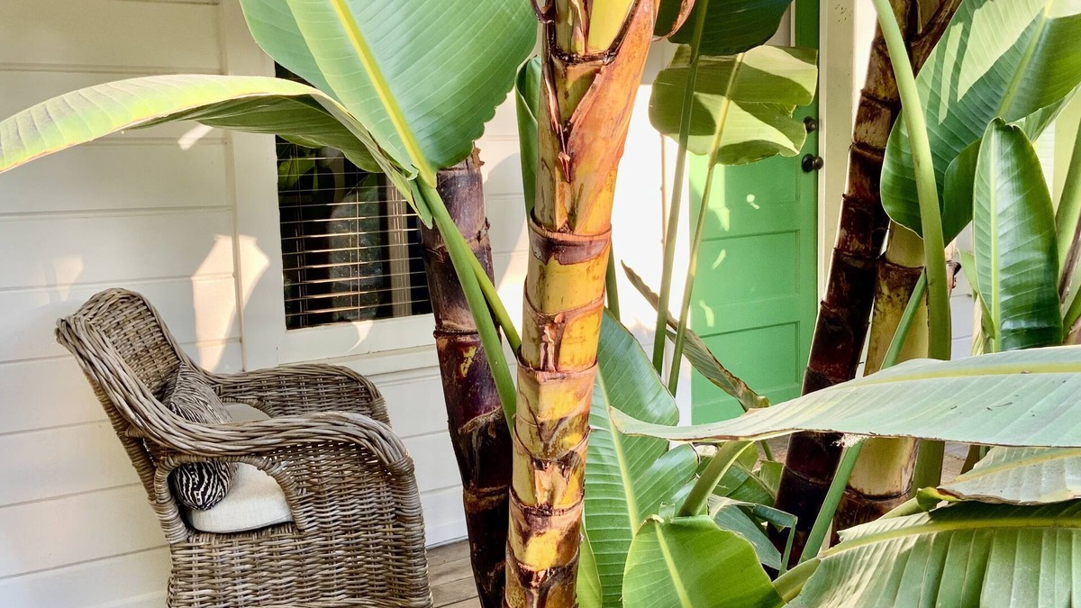 Montecito House | Relax in the heart of Montecito