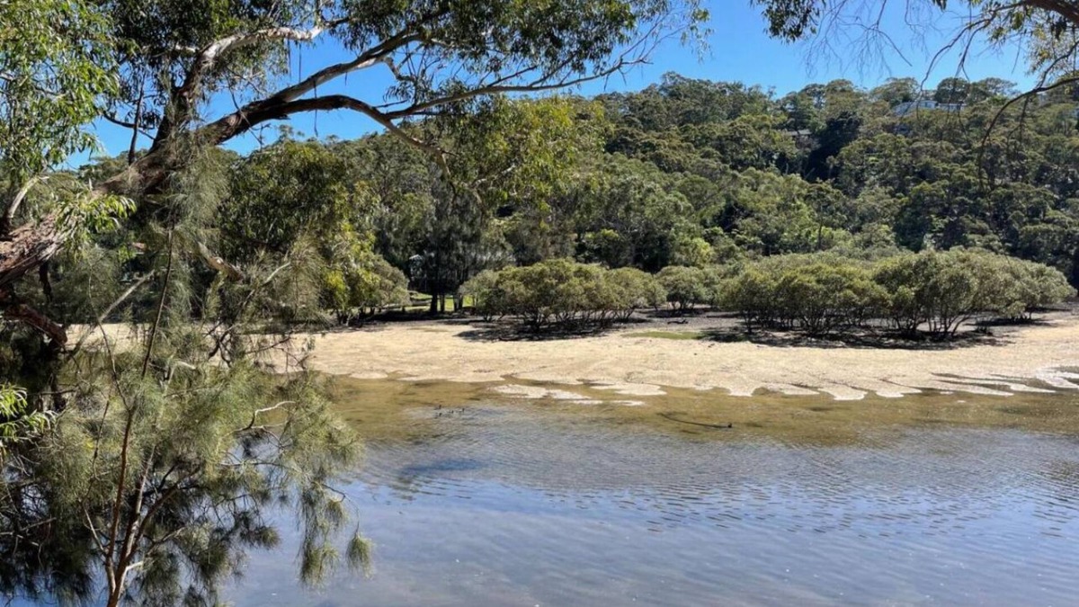 Grays Point Apartment | Relax in the sounds of nature. Bush walks nearby and city life at your doorstep.