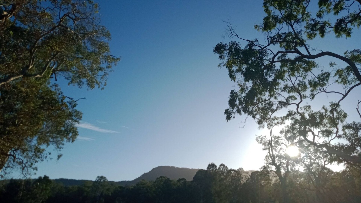 Boyland Apartment | Relax on our farm, explore the local Tamborine and Canungra area
