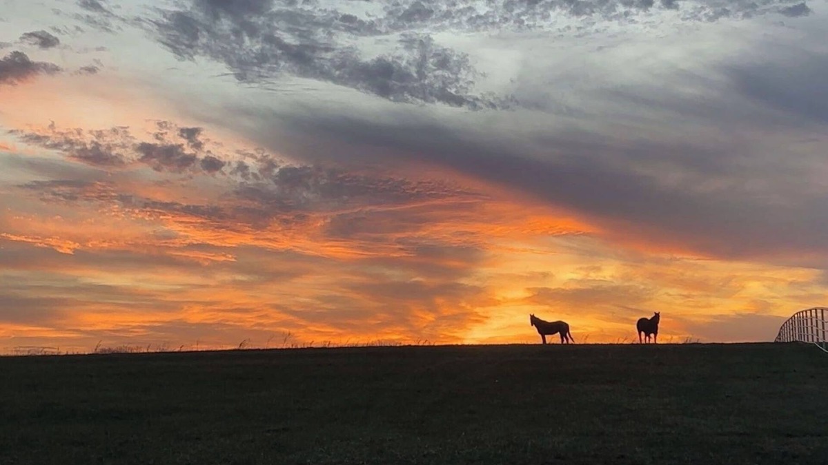 Potosi Other | Relax with the whole family at Puckett’s View- Potosi, MO - Home Away From Home.