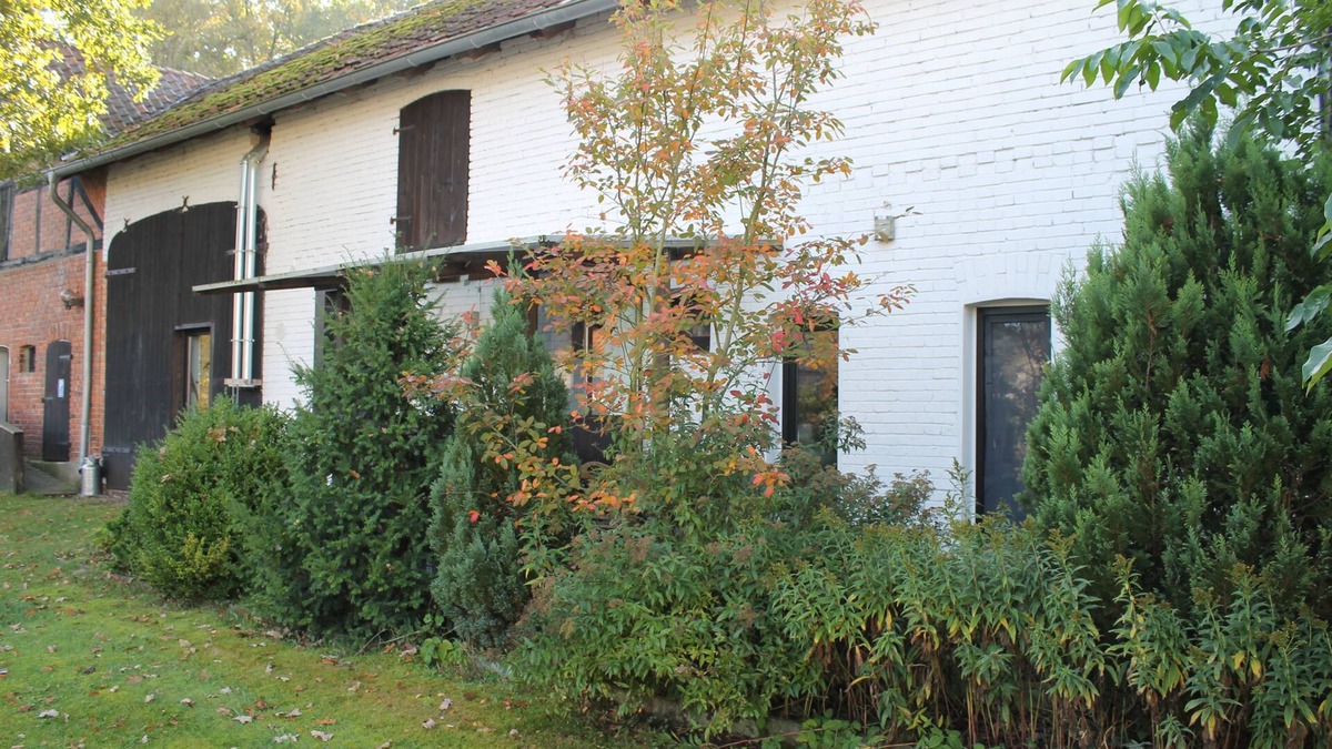 Thielitz Apartment | Relaxed between Lüneburg Heath and Wendland - wake up with twittering birds