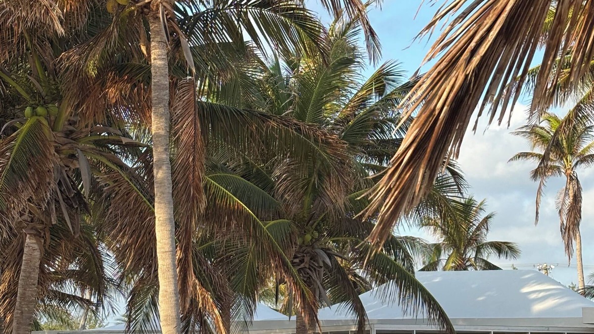 North Side House | Relaxed Bungalow on Private Beach, Super Snorkeling, Sea Lodge #25 Cayman Kai
