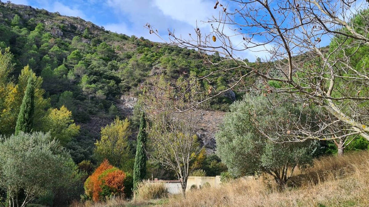 Caunes-Minervois Apartment | Relaxing apartment with Mountain views