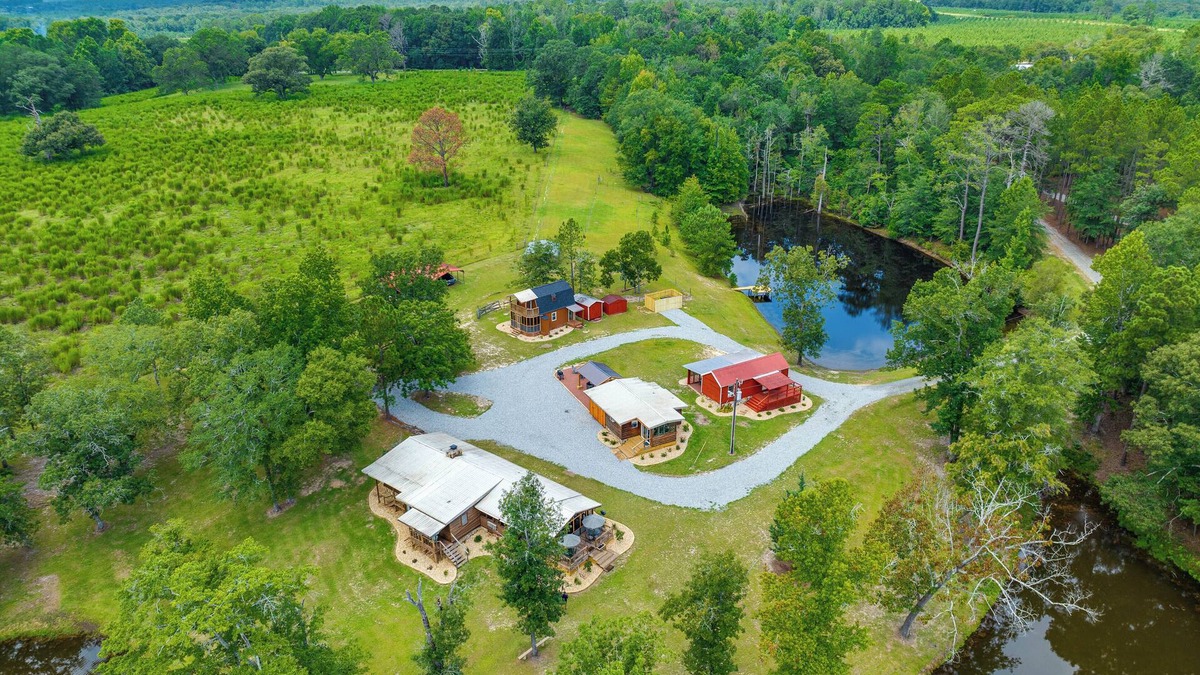 Mauk Cabin | Relaxing Buena Vista Getaway w/Lush Lake Views