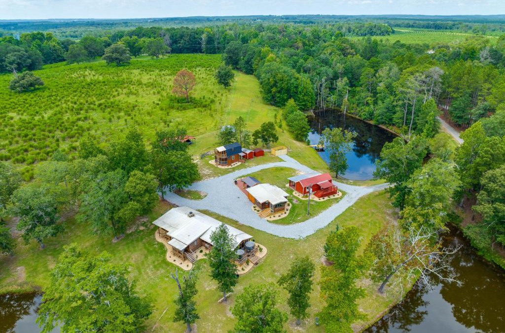 Mauk House | Relaxing Buena Vista Getaway with Lush Lake Views