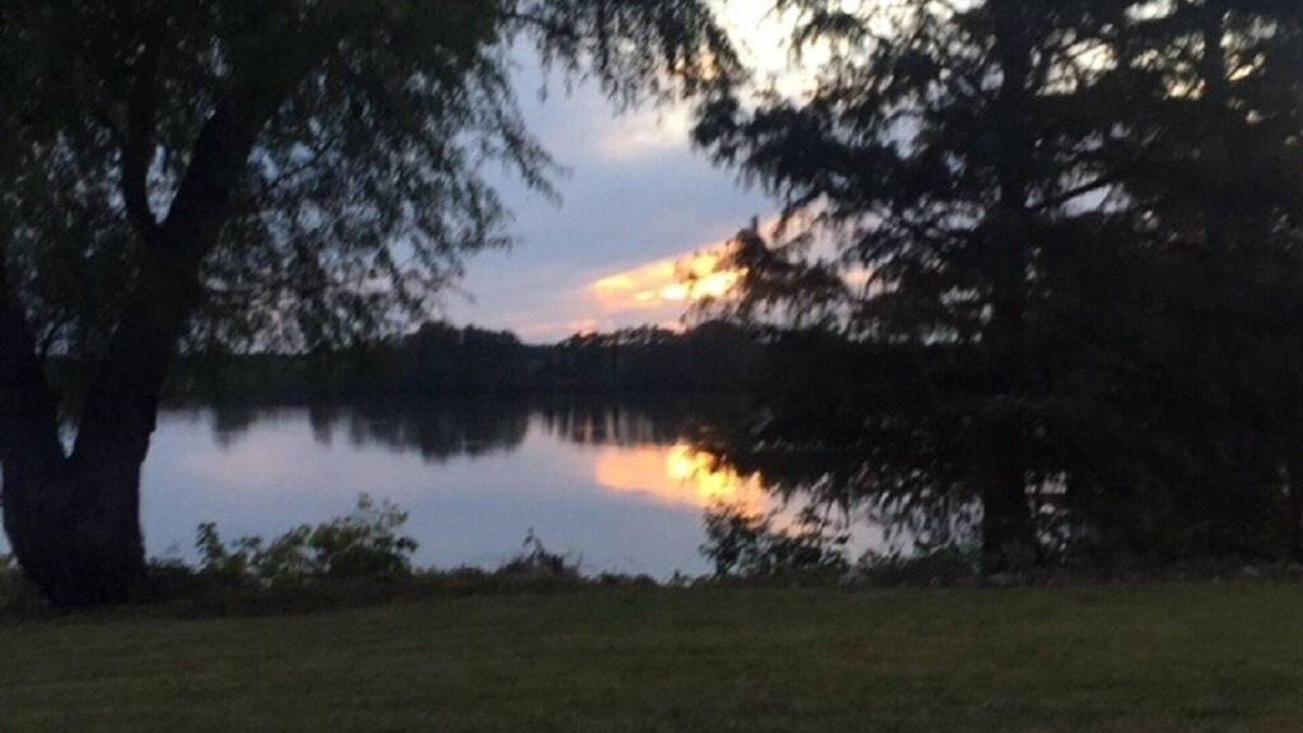 Horseshoe Lake Cabin | Relaxing Cabin 30 mins from Downtown Memphis with King Bed at Horseshoe Lake