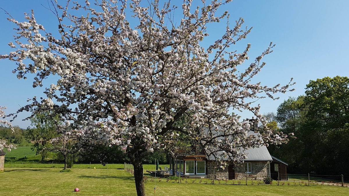 Saint-Germain-de-Tallevende-la-Lande-Vaumont House | Relaxing Country Retreat