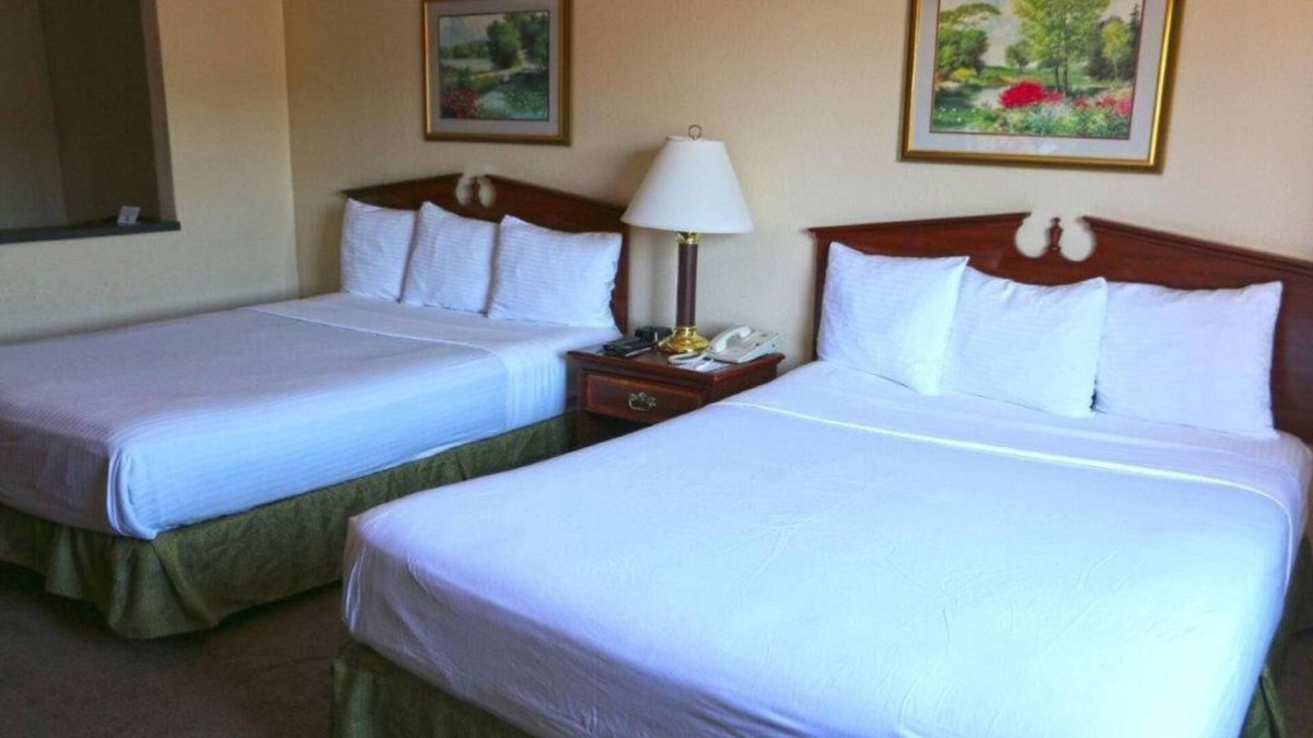 Kelso House | Relaxing Getaway in GuestHouse Kelso Longview! 2 Pet-friendly Units, Affordable
