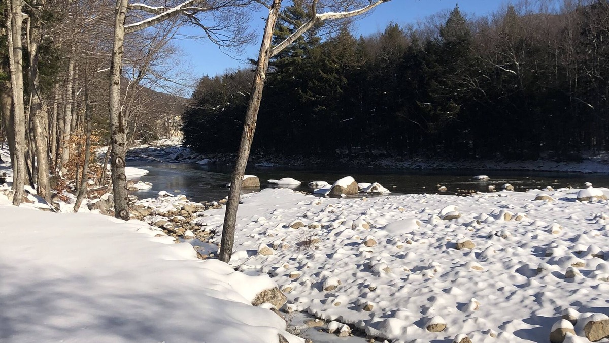 Lincoln Condo | Relaxing White Mtn Riverfront retreat, free shuttle to Loon