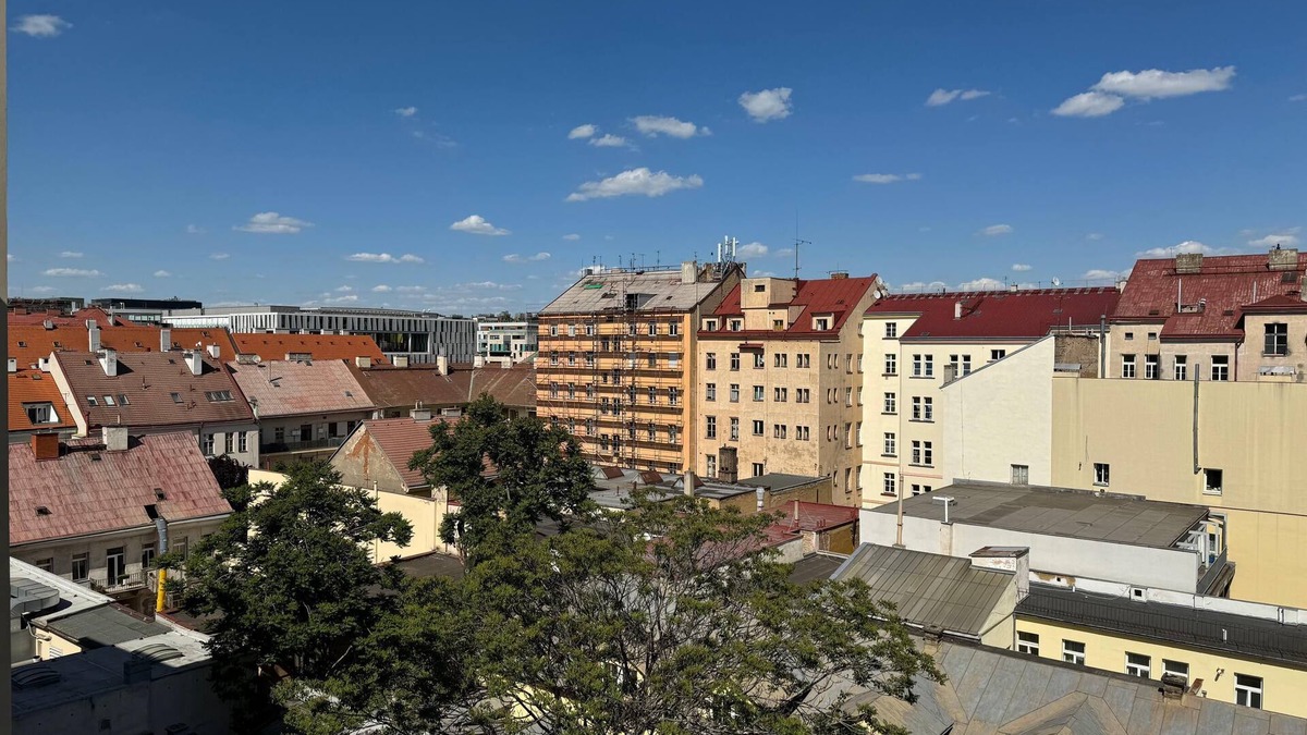 Karlin Apartment | Remarkable 1-Bed Apartment in Praha