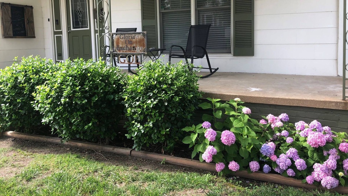Union City House | Remodeled Historic Home with all the amenities in Charming Downtown Union City