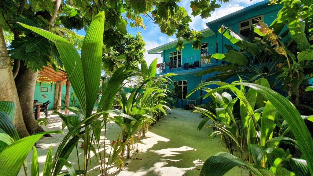 Nilandhoo House | Remora Summer House