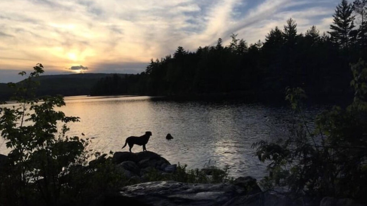 Orland Cabin | Remote off-grid cabin on pond 4WD/AWD required