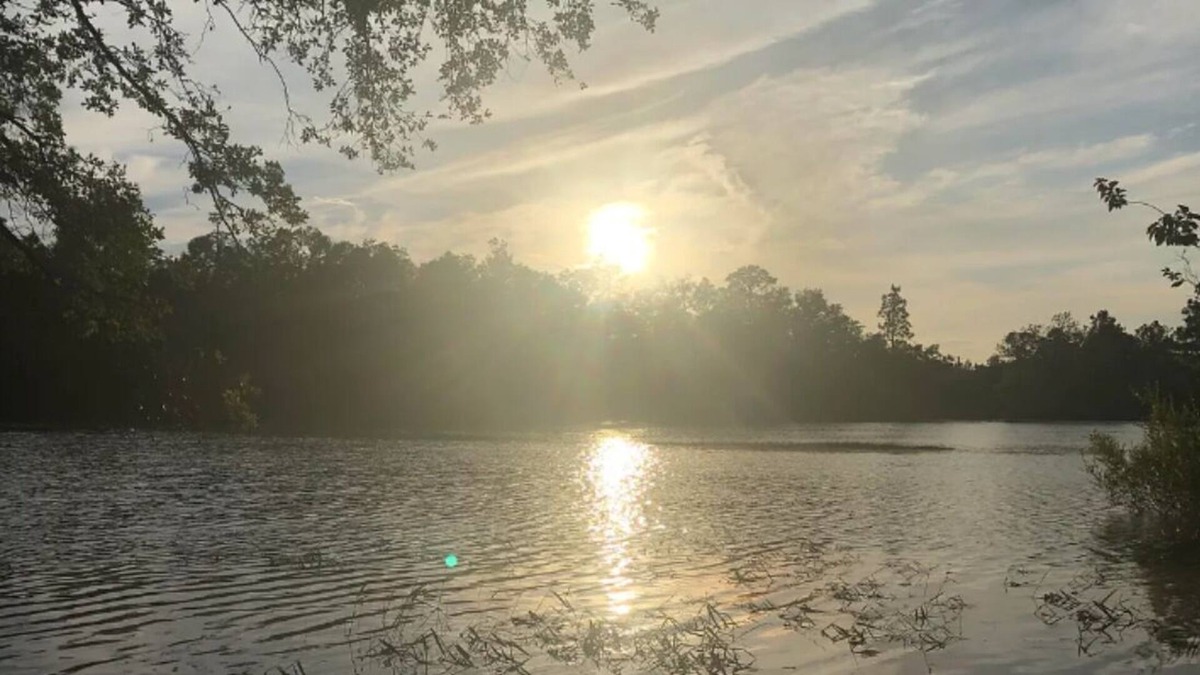 Chipley House | Remote property with a pond view
