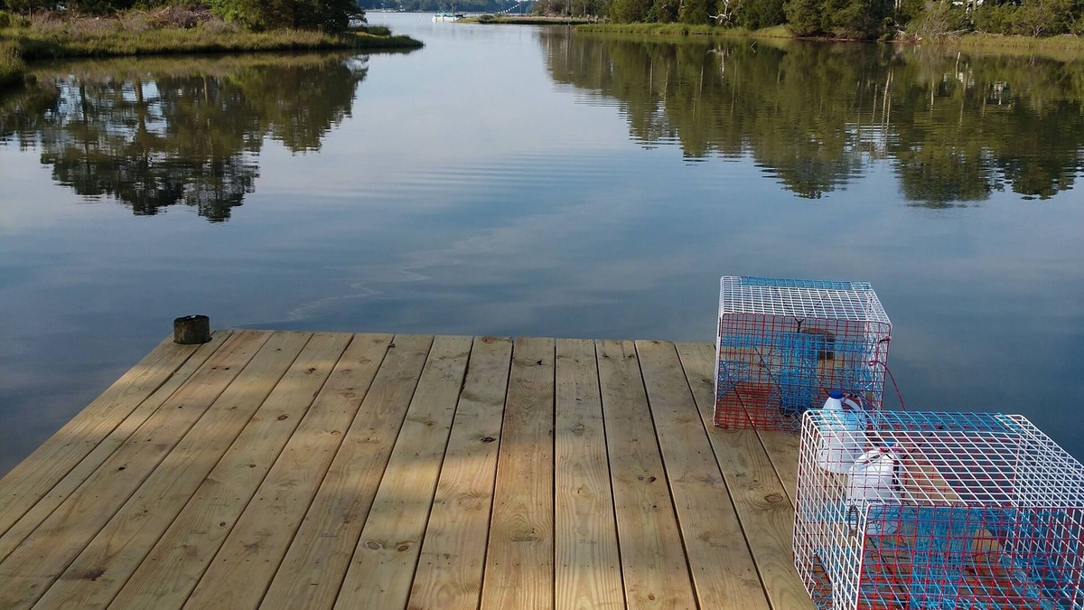 Hacksneck House | Remote Secluded Waterfront Estate OPEN for Chincoteague Pony Week. Only 37 Mi