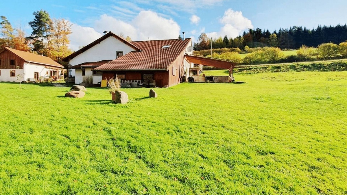 La Chapelle-devant-Bruyeres House | renovated farmhouse for groups and families in nature, dogs welcome, playground