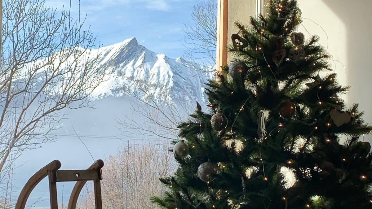 Saint-Julien-en-Champsaur Ski Chalet | Renovated farmhouse, mountain view, close to lakes and hiking trails, brazier, garden