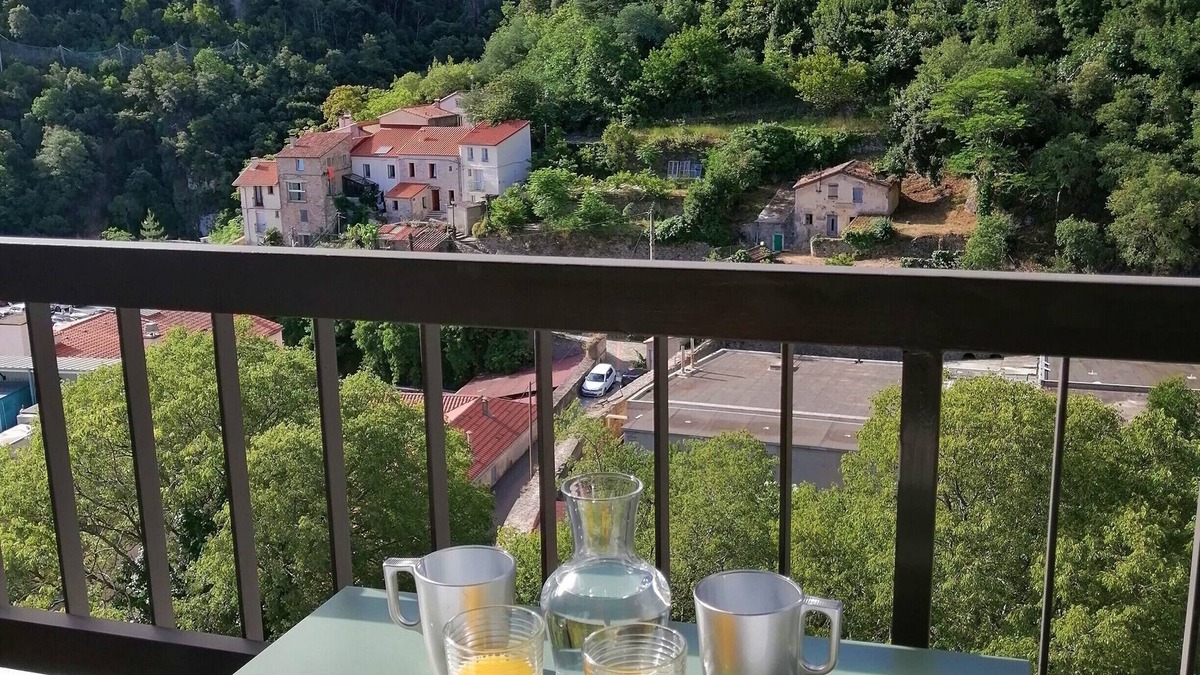 Amelie-les-Bains-Palalda Apartment | Renovated south-facing studio + Parking