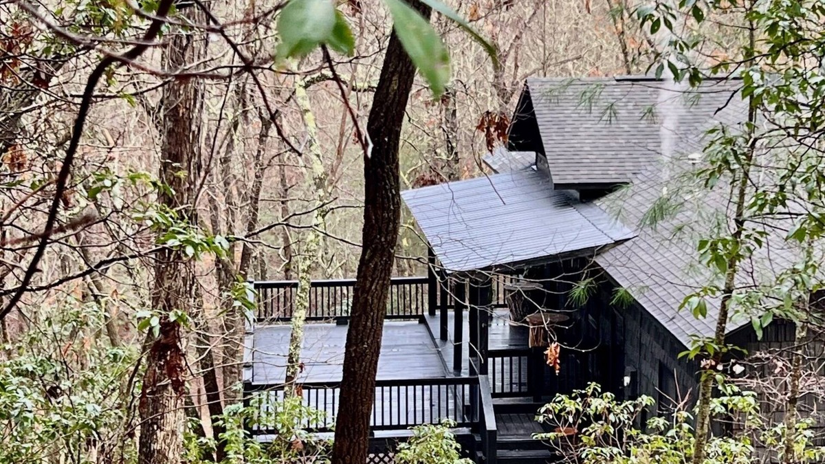 Mineral Bluff Cabin | Renovated cottage nestled in 8 acres close to Downtown Blue Ridge & Golf Course