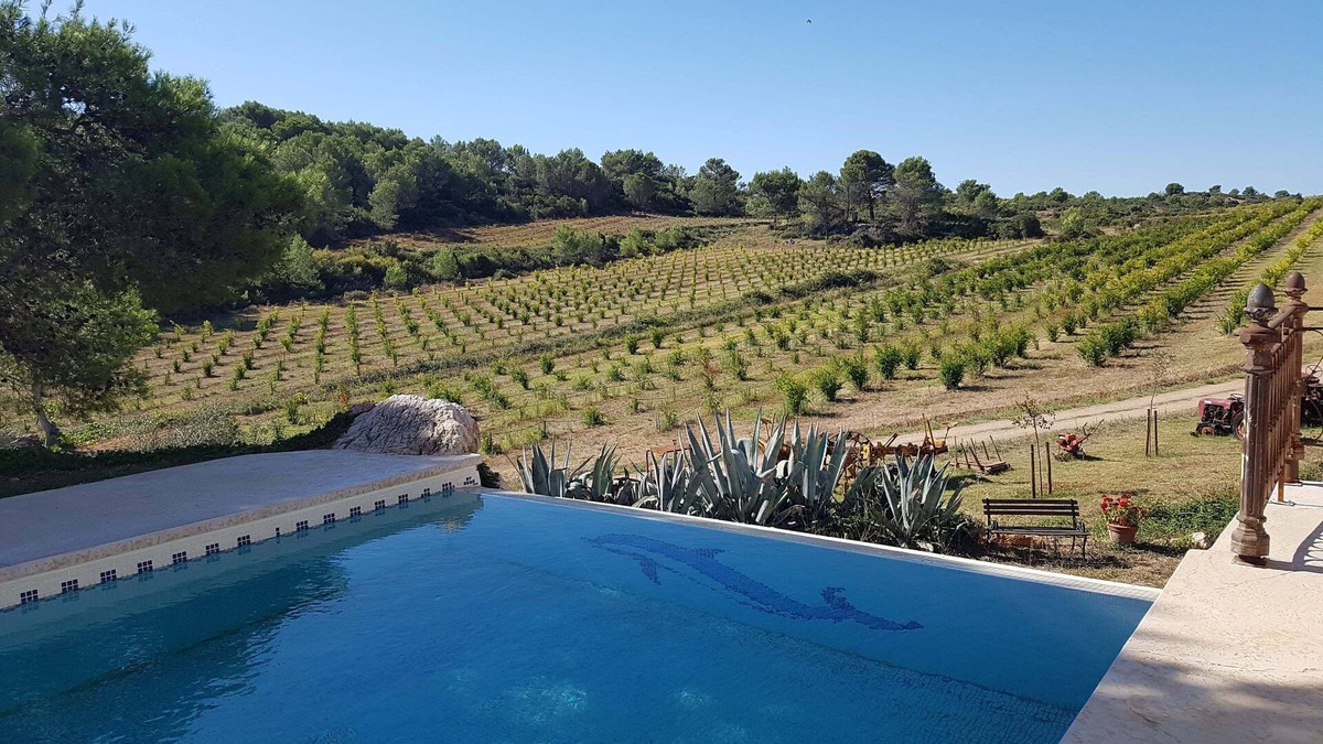 Cessenon-sur-Orb House | Renovated farmhouse in the heart of nature, ideal for a peaceful vacation