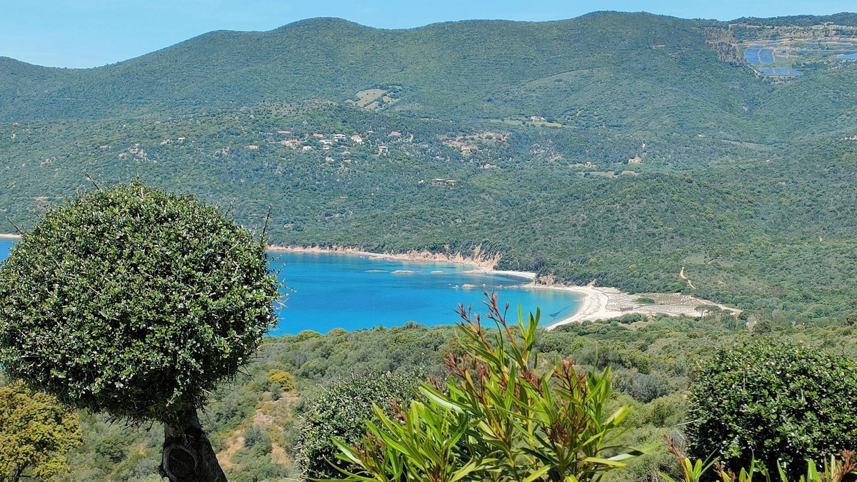 Serra-di-Ferro Villa | Renovated mini villa with all comforts (3*residence, swimming pool, sea on foot)