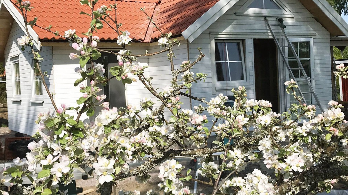 Varnamo Municipality House | Renovated nice cottage located outside Värnamo and only 30 meters from the lake Flåren |SE07055