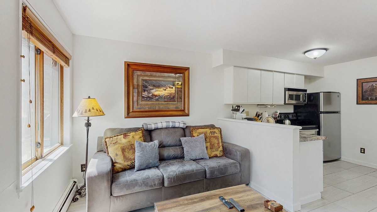Four O'Clock Condo | Renovated Ski-in Dog-Friendly condo – Walk to Main Street!