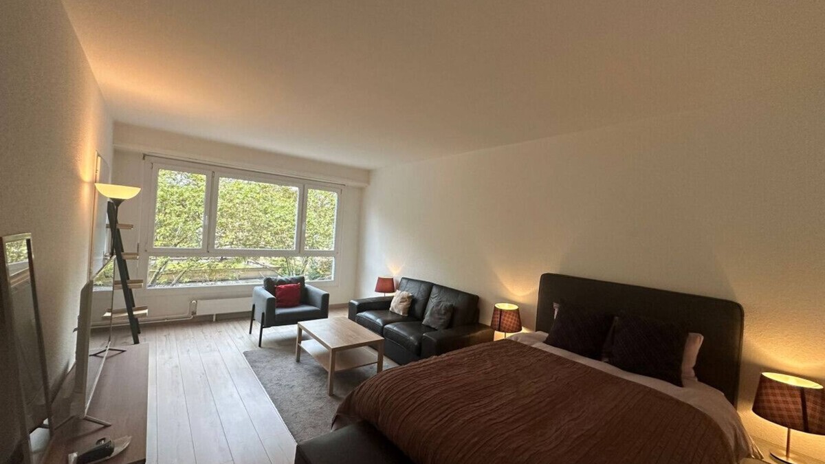 Les Charmilles Apartment | Renovated Suite Geneva City Center