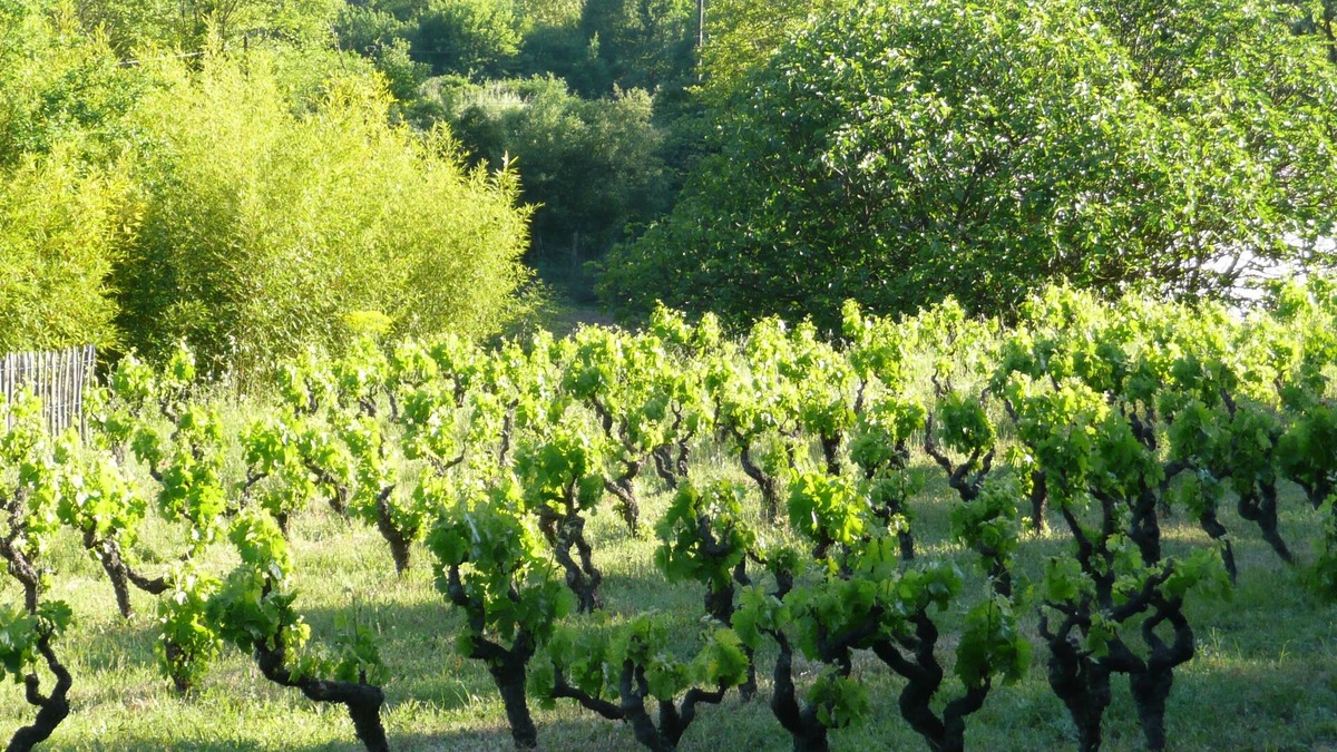 Saint-Antonin-du-Var House | Rent up to 6 people ds old farmhouse restored, full nature provencal